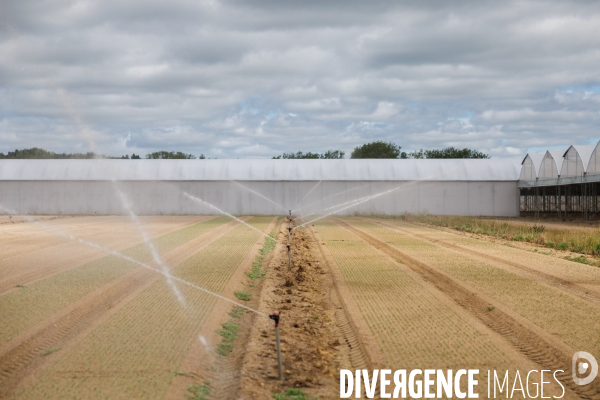 Eau potable à Machecoul