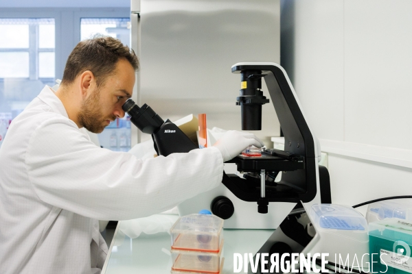 Elevage de cochons médicaments