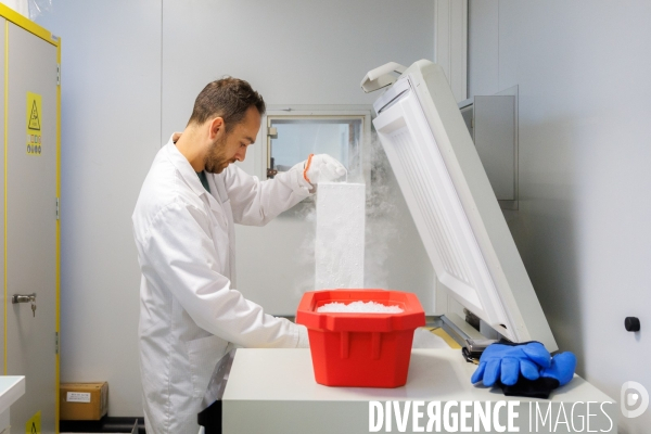 Elevage de cochons médicaments