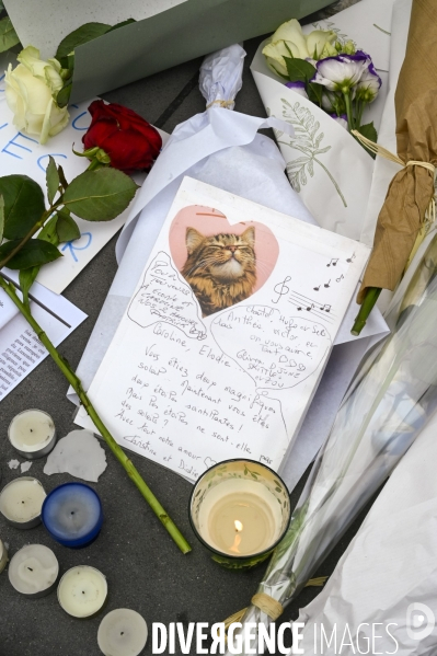 Hommage aux victimes des attentats du 13 novembre 2015, place de la République.