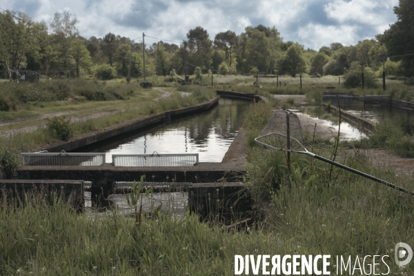 Caviar de France, Moulin de la Cassadote, Biganos (33)