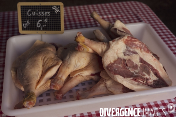 Le Marché du Gras à Perigueux (24)