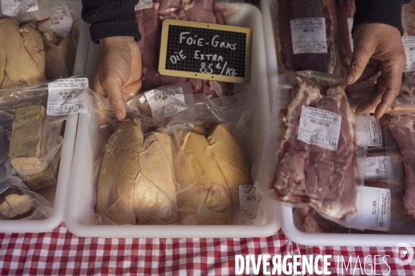 Le Marché du Gras à Perigueux (24)