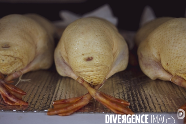 Le Marché du Gras à Perigueux (24)