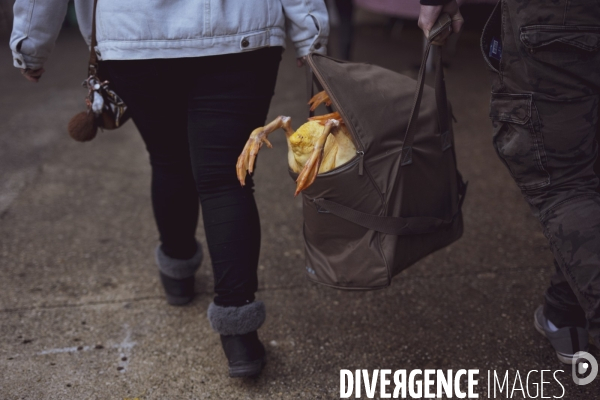 Le Marché du Gras à Perigueux (24)