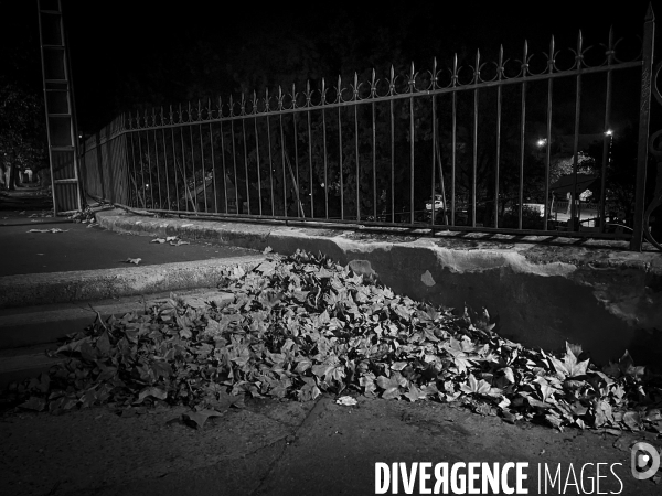 Nuit de Mistral | Arles