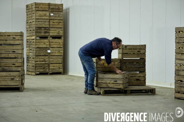 L exploitation de Christel Salles , producteur de pommes Reinette bio dans les Cévennes.