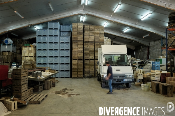 L exploitation de Christel Salles , producteur de pommes Reinette bio dans les Cévennes.