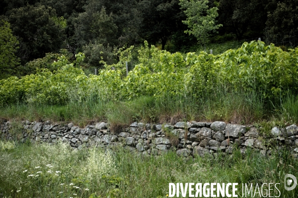 L exploitation de Marion Chabanel, éleveuse de vers à soie dans les Cévennes.