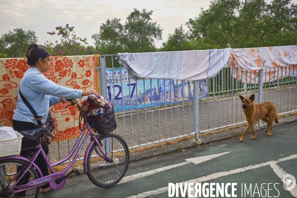 Élections générales du Conseil législatif de Hong Kong 2025