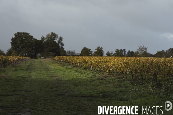 Paroles d agriculteurs : Michel Bedouet (Loire-Atlantique)