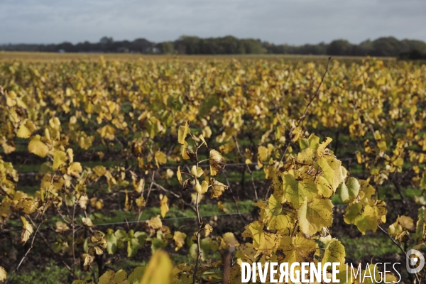 Paroles d agriculteurs : Michel Bedouet (Loire-Atlantique)