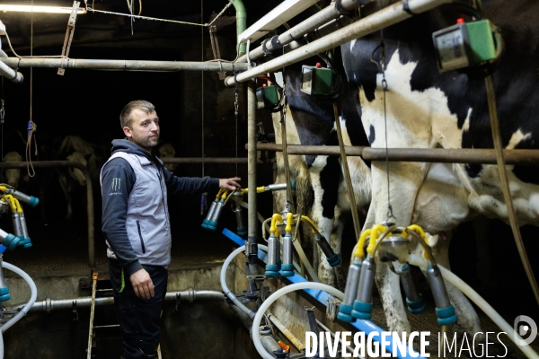 Eleveur laitier vendéen