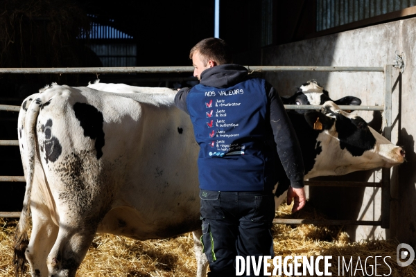 Eleveur laitier vendéen