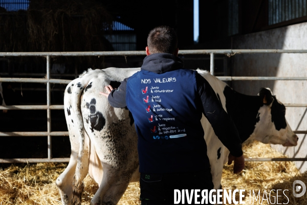 Eleveur laitier vendéen