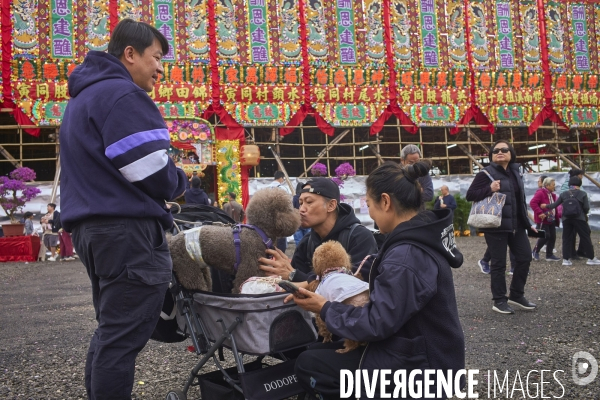 Hong Kong, le festival de Kam Tin Jio