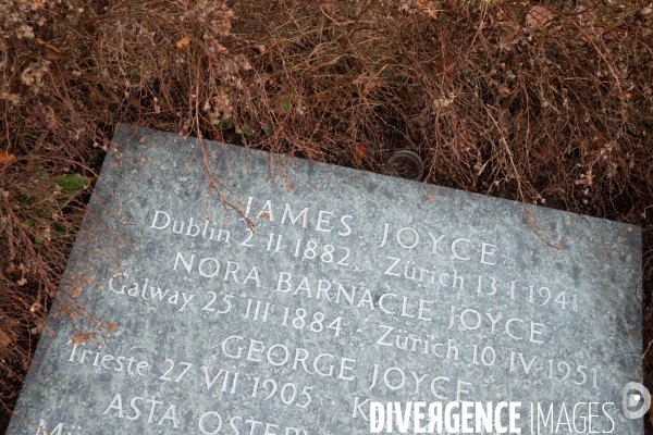 Tombe de James Joyce. James Joyce s grave.