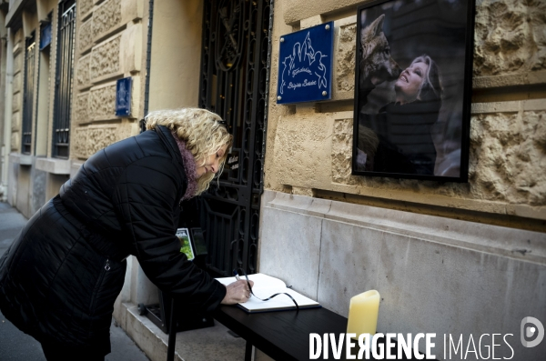 Tribute to brigitte bardot.