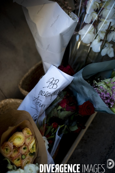 Tribute to brigitte bardot.