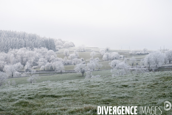 Vive le froid d hiver