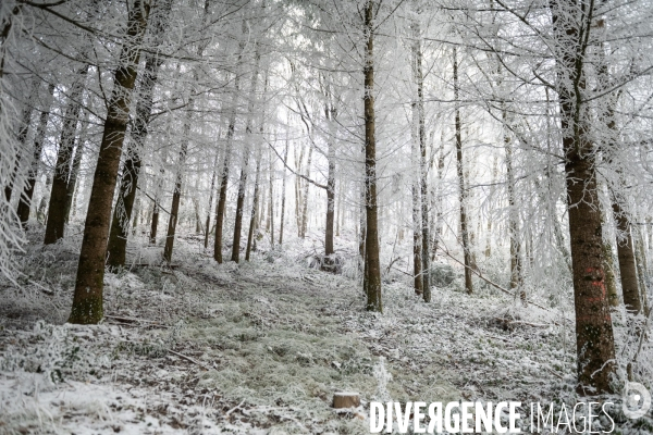 Vive le froid d hiver