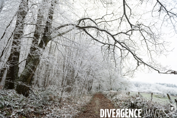 Vive le froid d hiver