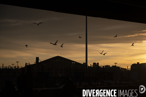 Une nuit de grand froid