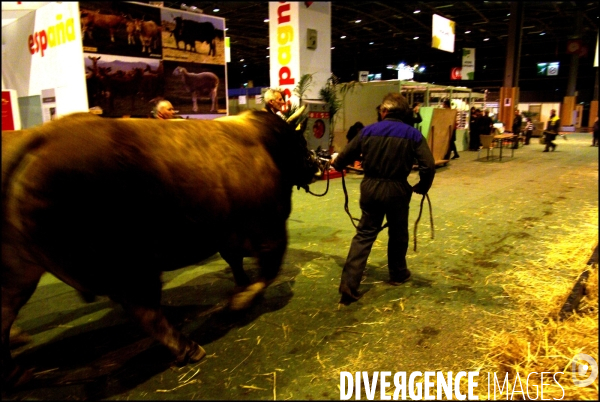 Une nuit au Salon de l Agriculture, 21-22 février 2009 à Paris.