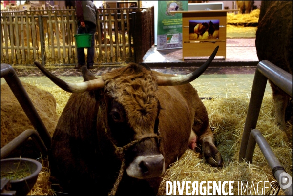 Une nuit au Salon de l Agriculture, 21-22 février 2009 à Paris.