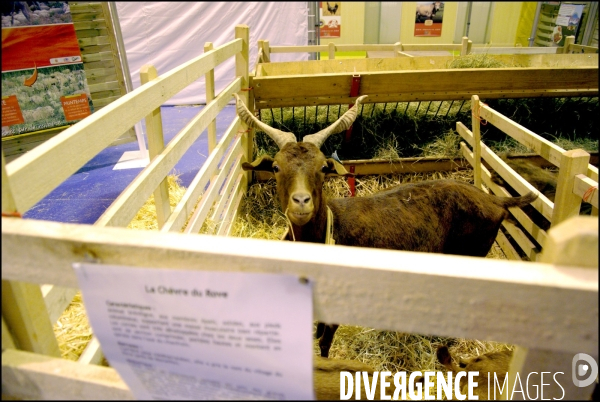 Une nuit au Salon de l Agriculture, 21-22 février 2009 à Paris.