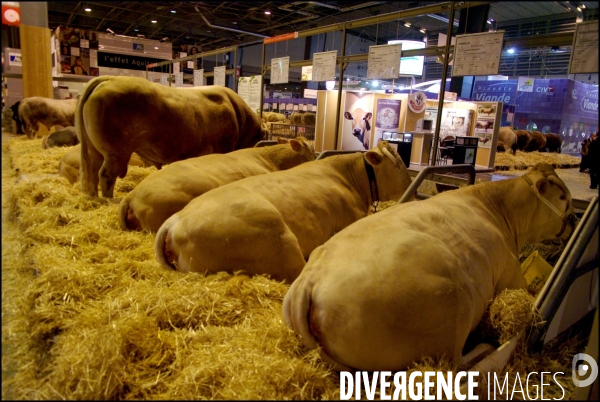 Une nuit au Salon de l Agriculture, 21-22 février 2009 à Paris.
