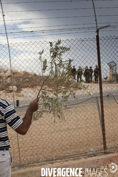 A friday in west bank - un vendredi dans les territoires occupes par israel