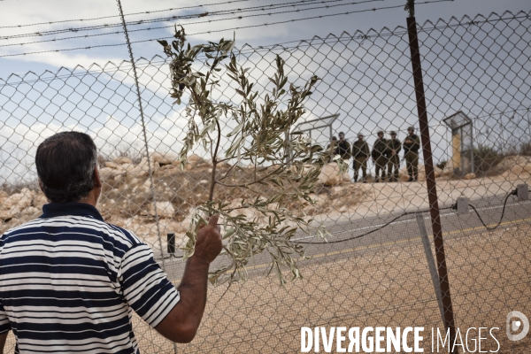 A friday in west bank - un vendredi dans les territoires occupes par israel