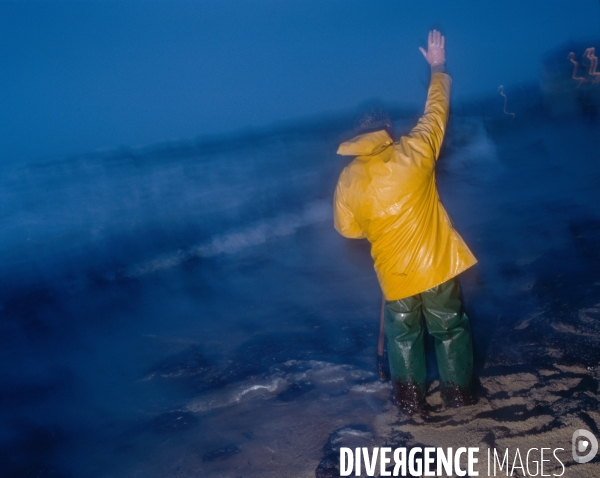 Marée noire en Bretagne /// Oil slick in Bretagne