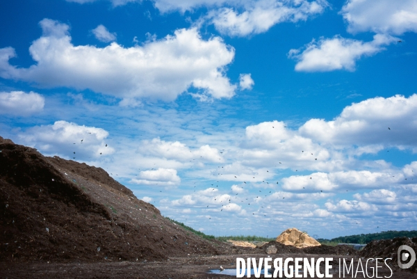 Traitement de déchets /// Waste processing