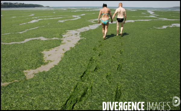 En Bretagne, une machine à laver les algues vertes est en test sur une plage.