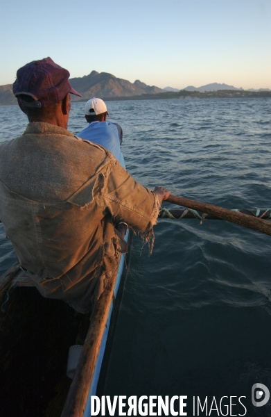 Filiere de la langouste: Ocean Indien