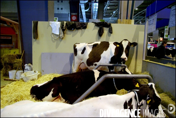 Une nuit au Salon de l Agriculture, 21-22 février 2009 à Paris.