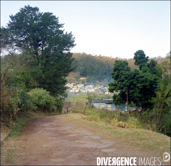 Swaziland, petit royaume en Afrique Australe . Juillet 2009.