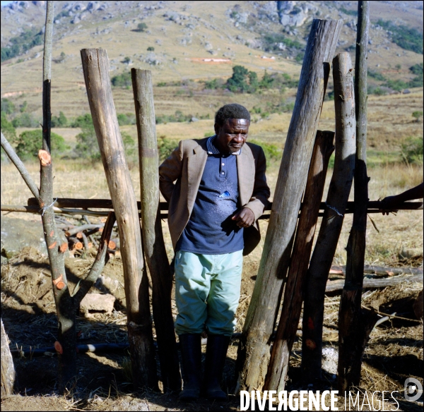 Swaziland, petit royaume en Afrique Australe . Juillet 2009.