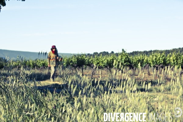 Balade Sauvage !