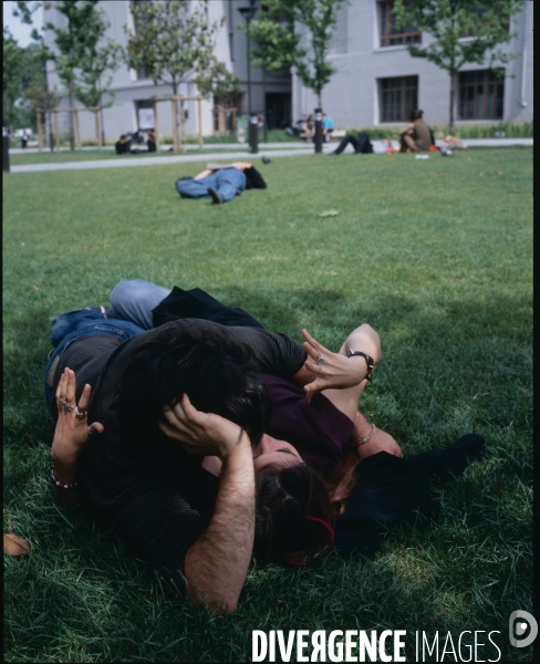 Université(s) /// University, college