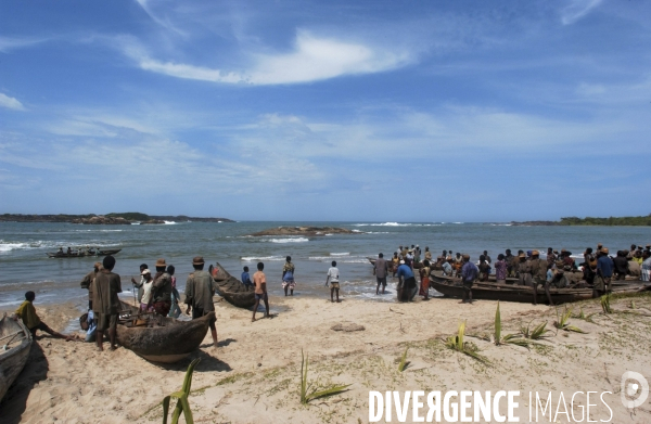 Filiere de la langouste: Ocean Indien