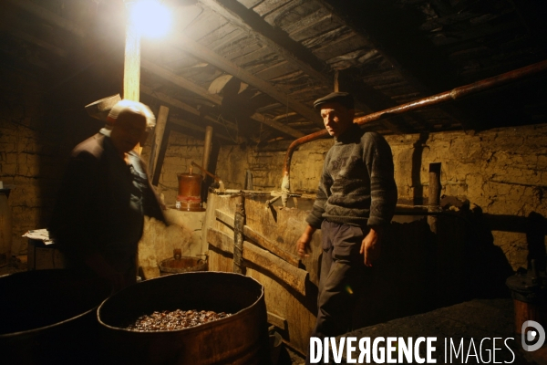 La distillerie de Palinka