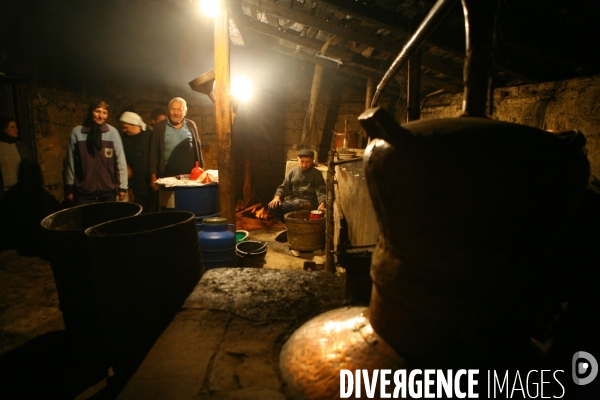 La distillerie de Palinka