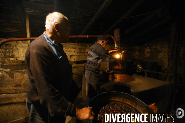 La distillerie de Palinka
