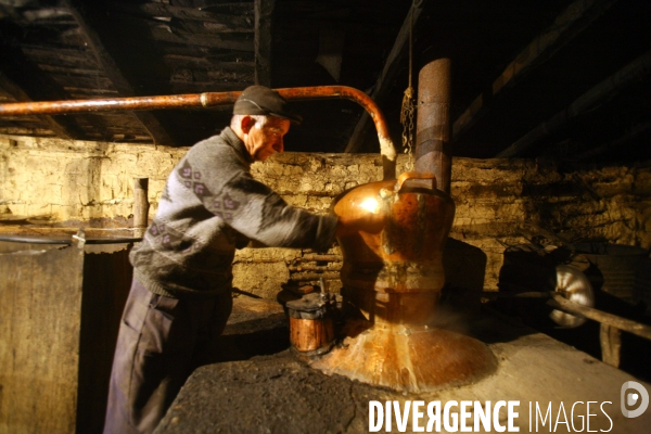 La distillerie de Palinka