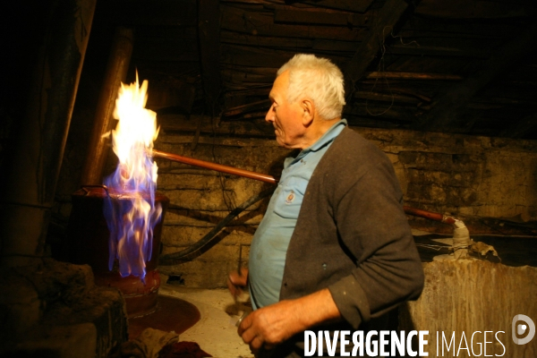 La distillerie de Palinka