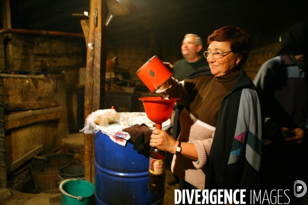 La distillerie de Palinka