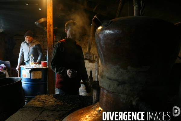 La distillerie de Palinka